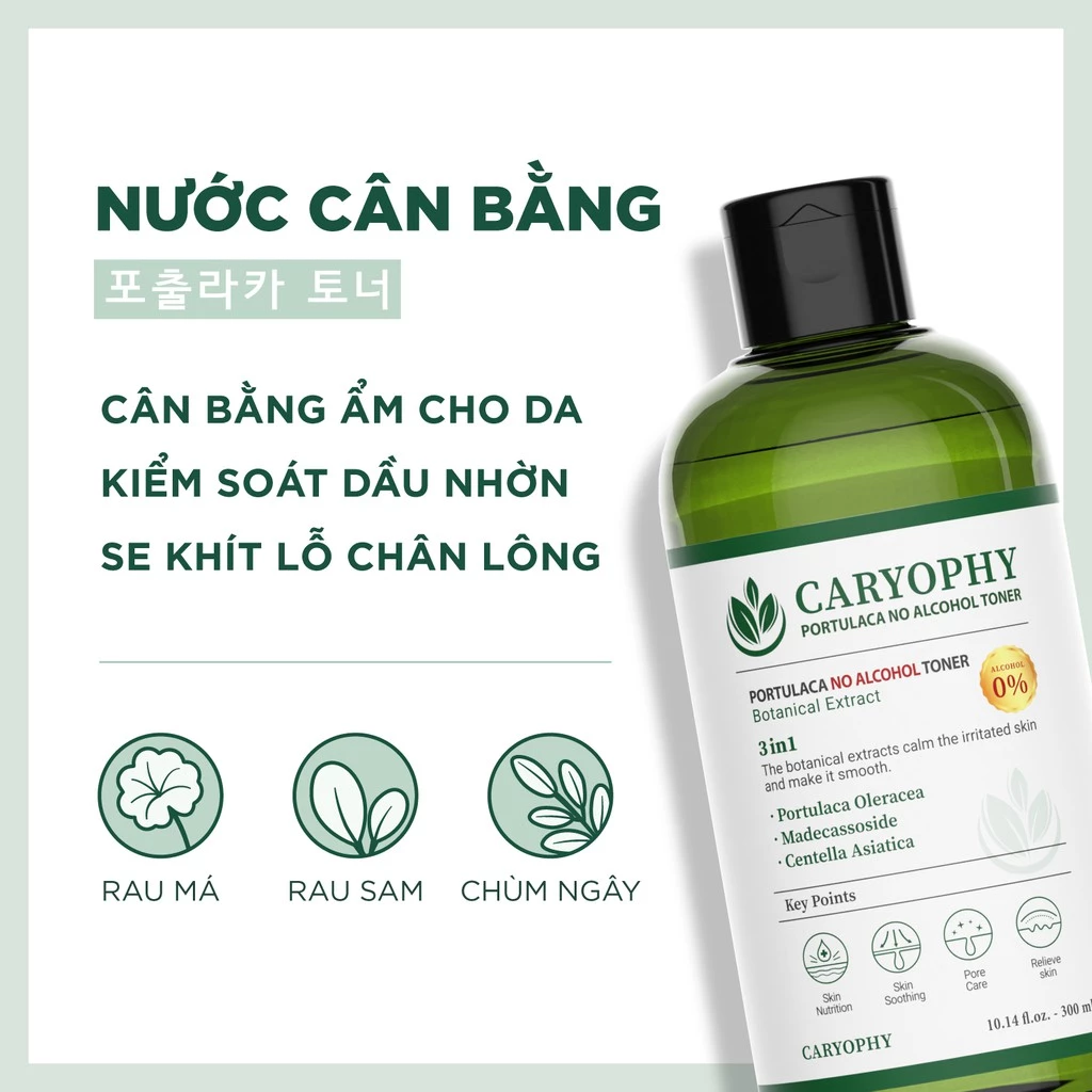 Toner không cồn Caryophy Portulaca